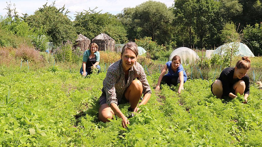 Mehrere Frauen knien auf einem blühenden Feld